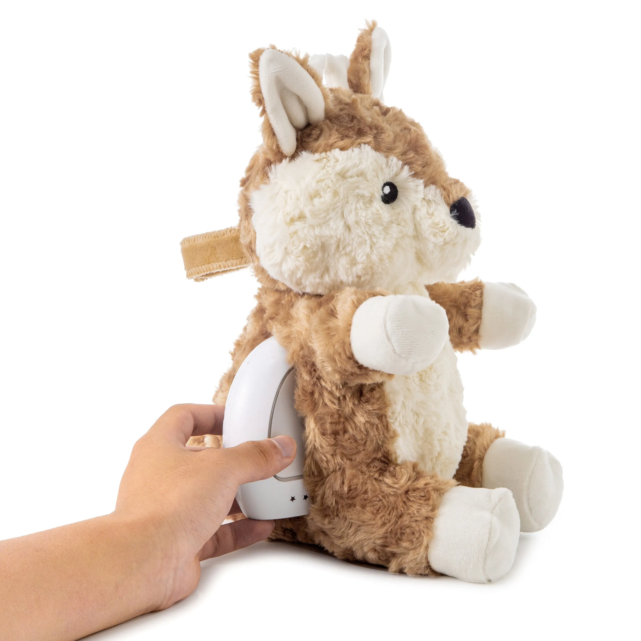 Cloud B LoveLight Buddies | Finley Fawn