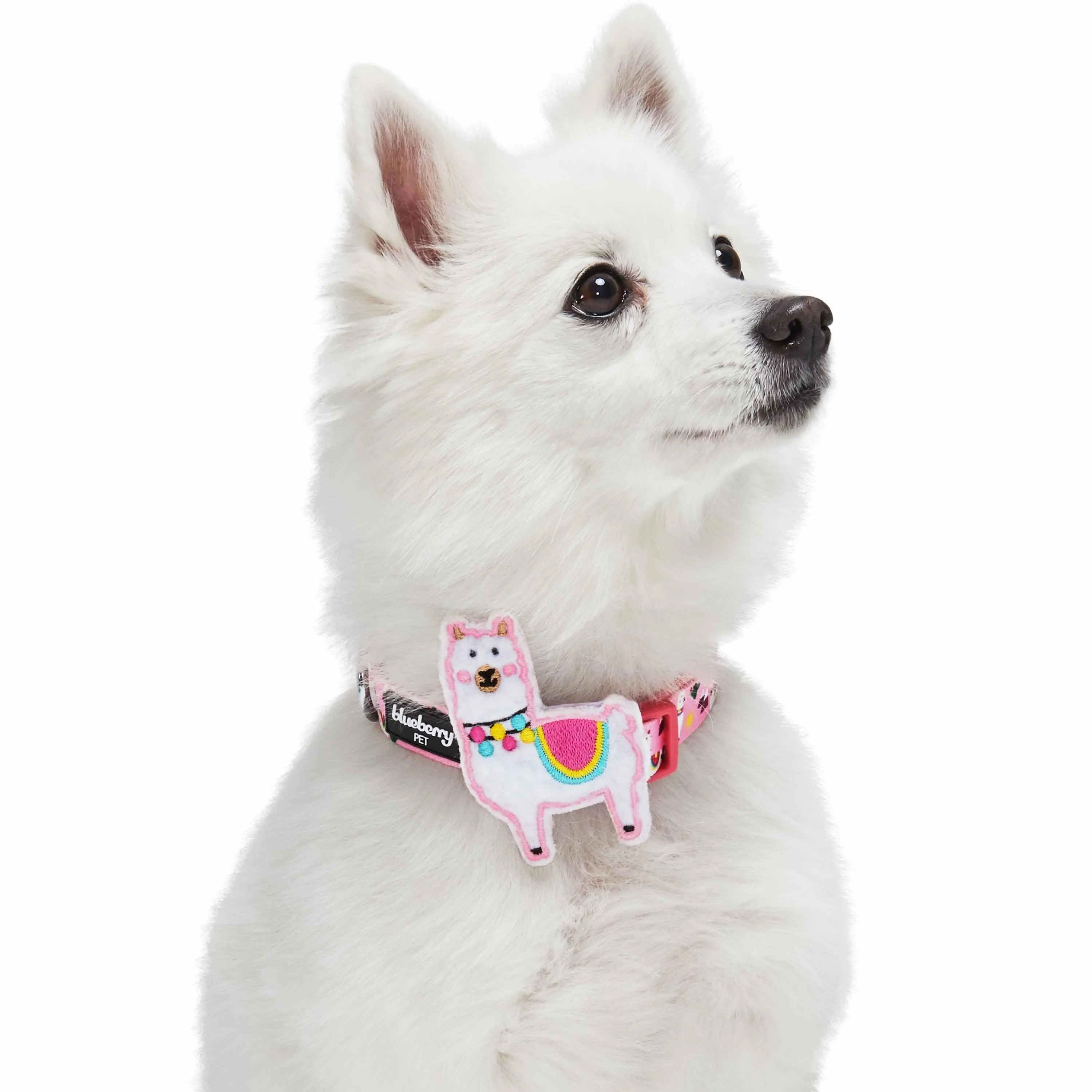 Forest Fun Dog Collar